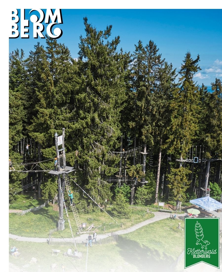 View of Germany’s highest climbing forest.